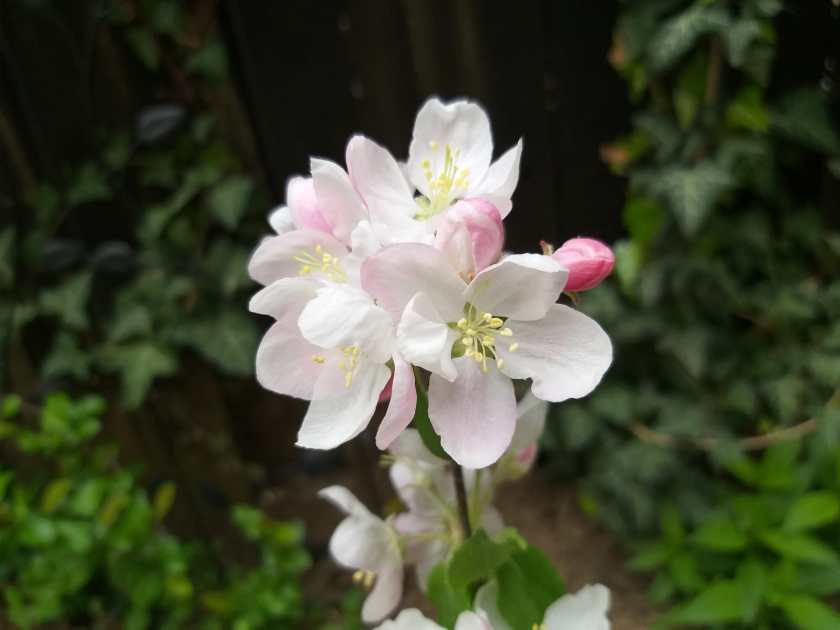 WhatsApp Image 2019-04-07 at 13.50.07