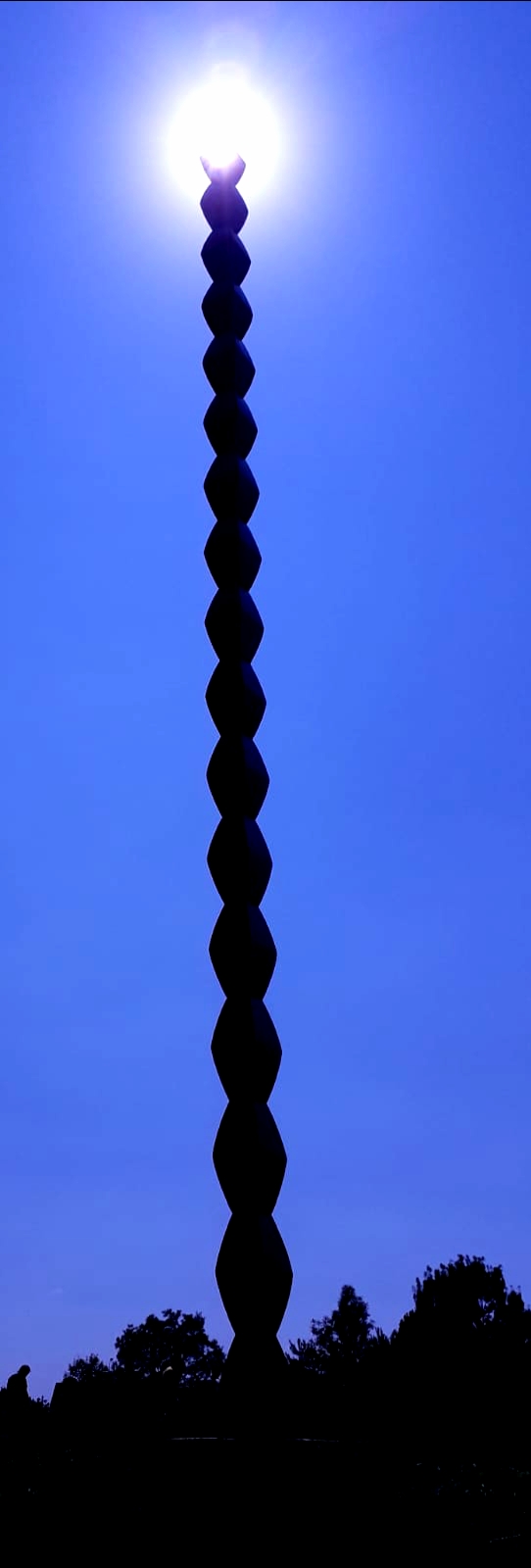 WhatsApp Image 2019-08-26 at 22.49.11