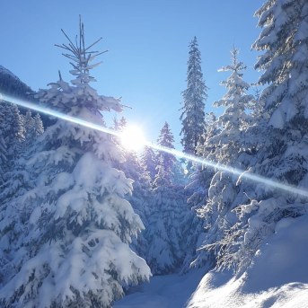 WhatsApp Image 2020-01-13 at 15.52.21