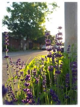 WhatsApp Image 2020-06-27 at 11.45.39