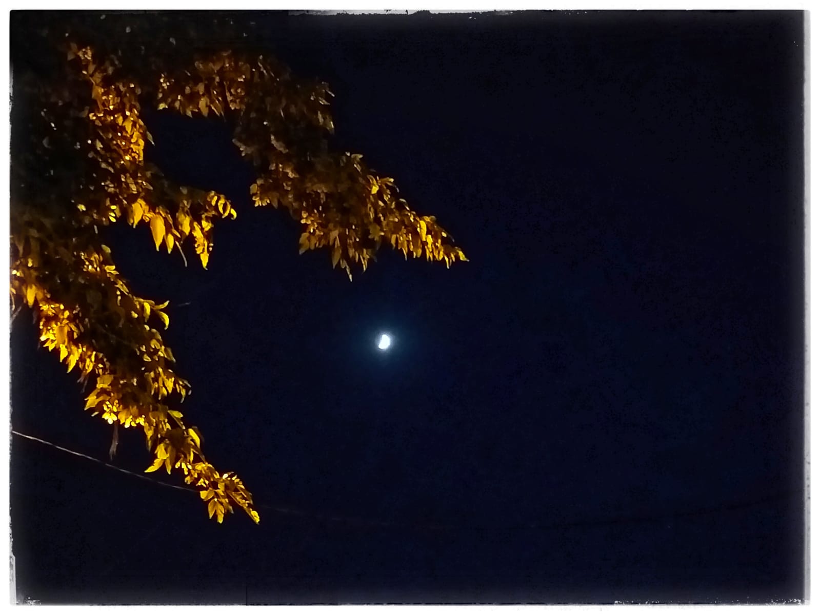 WhatsApp Image 2020-06-27 at 11.39.11