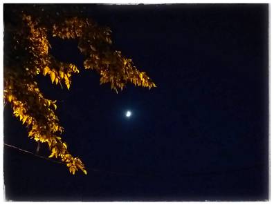 WhatsApp Image 2020-06-27 at 11.39.11