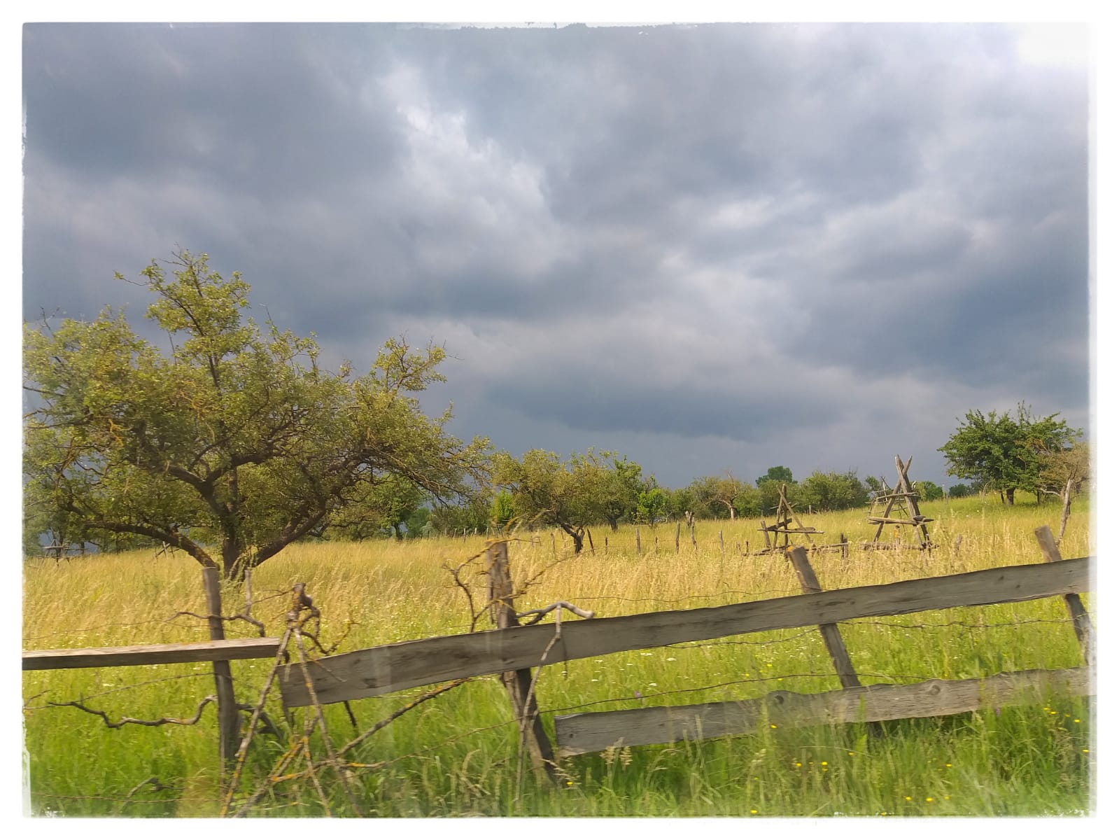 WhatsApp Image 2020-07-12 at 19.09.22