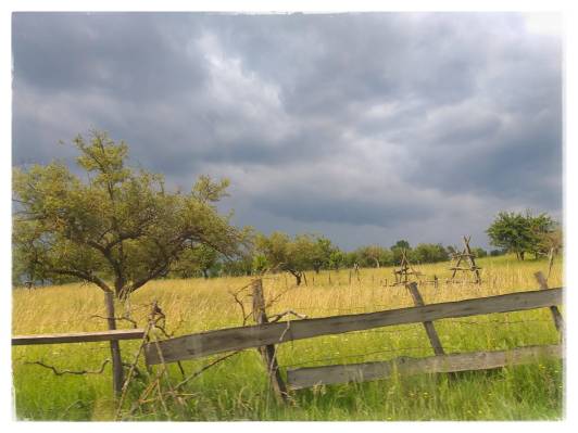 WhatsApp Image 2020-07-12 at 19.09.22