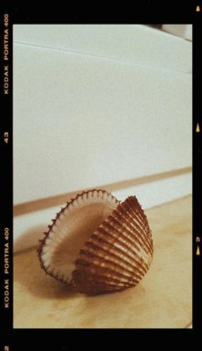 Screenshot_20220822-230209_Gallery